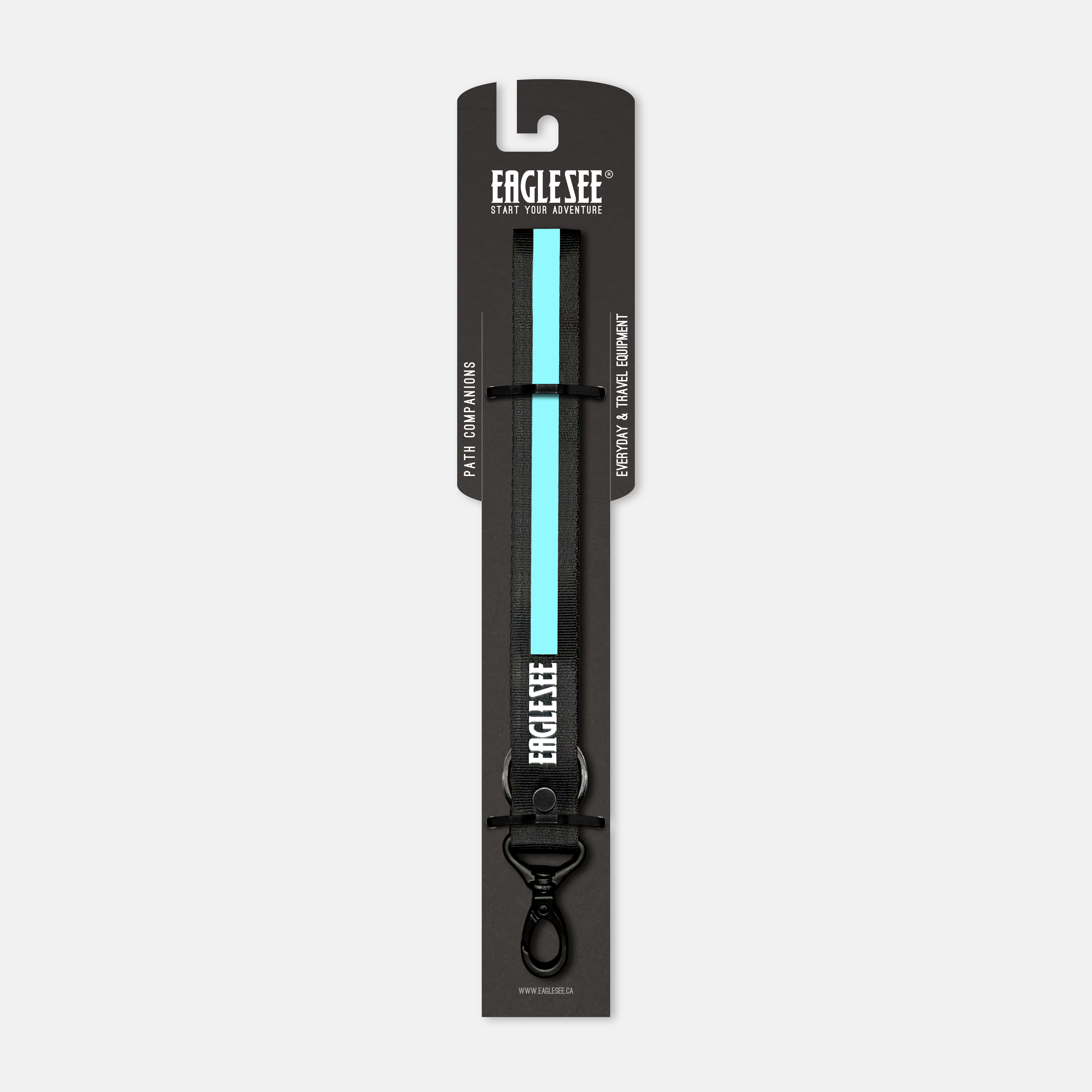Lanyard